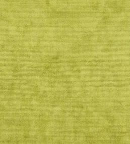 Glenville Fabric by Designers Guild Acacia
