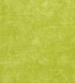 Glenville Fabric by Designers Guild Lime