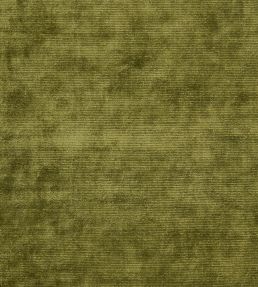 Glenville Fabric by Designers Guild Forest