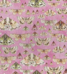 Issoria Wallpaper by Designers Guild Rose