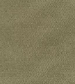 Madrid Fabric by Designers Guild Thyme