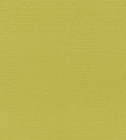Madrid Fabric by Designers Guild Lime