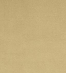 Madrid Fabric by Designers Guild Sand