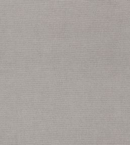 Madrid Fabric by Designers Guild Moleskin