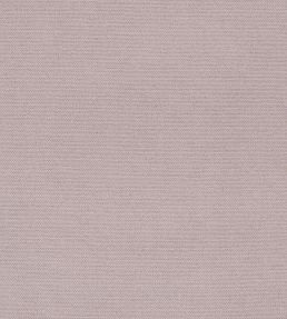 Madrid Fabric by Designers Guild Cameo