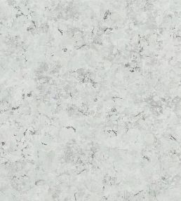 Lustro Wallpaper by Designers Guild Zinc