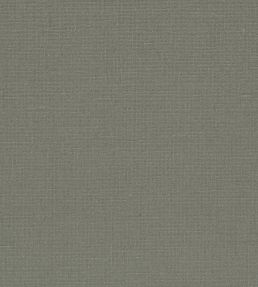 Manzoni Fabric by Designers Guild Zinc