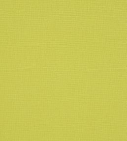 Manzoni Fabric by Designers Guild Chartreuse
