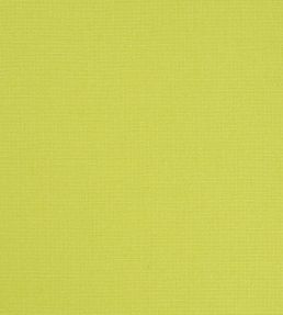 Manzoni Fabric by Designers Guild Pistachio