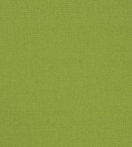 Manzoni Fabric by Designers Guild Grass