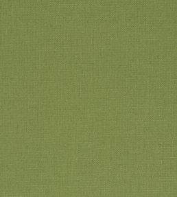 Manzoni Fabric by Designers Guild Forest