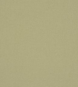 Manzoni Fabric by Designers Guild Seagrass