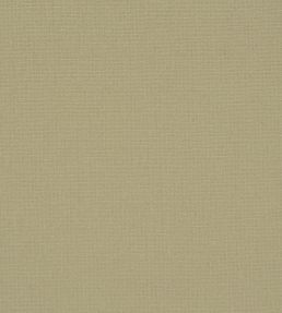 Manzoni Fabric by Designers Guild Nougat