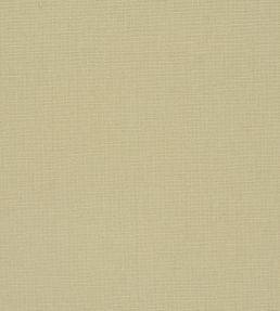 Manzoni Fabric by Designers Guild Hemp