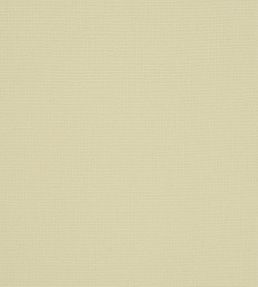 Manzoni Fabric by Designers Guild Natural
