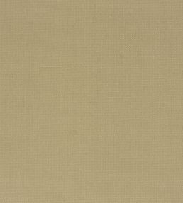 Manzoni Fabric by Designers Guild Driftwood