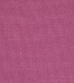 Manzoni Fabric by Designers Guild Tuberose