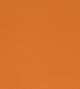 Manzoni Fabric by Designers Guild Saffron