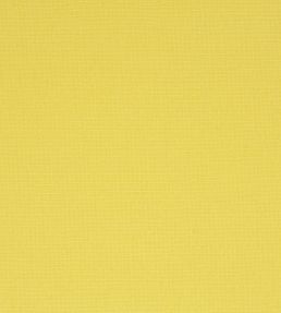 Manzoni Fabric by Designers Guild Straw