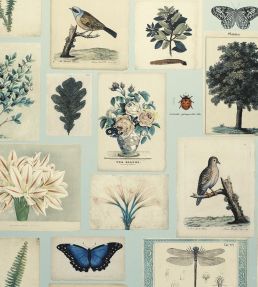 Flora And Fauna Wallpaper by Designers Guild Cloud Blue