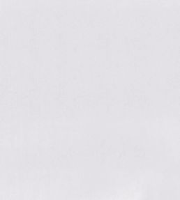 Tiber Fabric by Designers Guild Mist