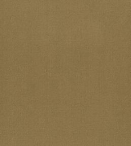 Tiber Fabric by Designers Guild Catkin