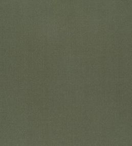 Tiber Fabric by Designers Guild Avocado