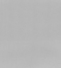Tiber Fabric by Designers Guild Zinc