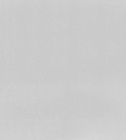 Tiber Fabric by Designers Guild Silver