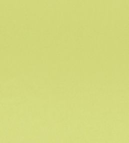 Tiber Fabric by Designers Guild Lime