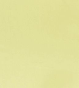 Tiber Fabric by Designers Guild Alchemilla