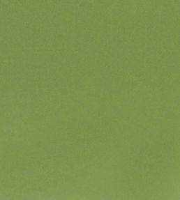 Tiber Fabric by Designers Guild Forest