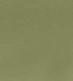 Tiber Fabric by Designers Guild Elm