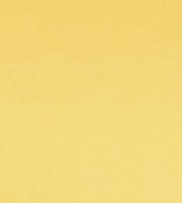 Tiber Fabric by Designers Guild Maize