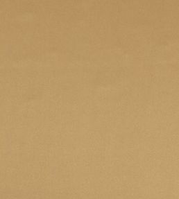 Tiber Fabric by Designers Guild Cinnamon
