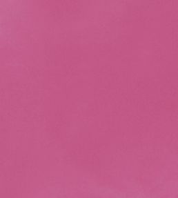 Tiber Fabric by Designers Guild Cerise