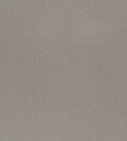 Tiber Alta Fabric by Designers Guild Graphite