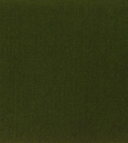 Velluto Fabric by Designers Guild Moss