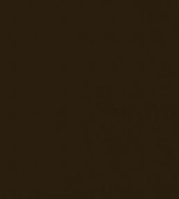 Velluto Stretto Fabric by Designers Guild Espresso