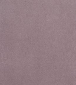 Velluto Stretto Fabric by Designers Guild Clover