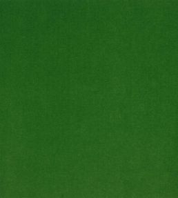Velluto Stretto Fabric by Designers Guild Emerald