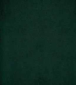 Velluto Stretto Fabric by Designers Guild Fir