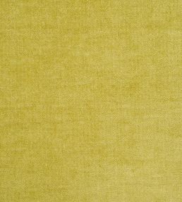 Zaragoza Fabric by Designers Guild Acacia