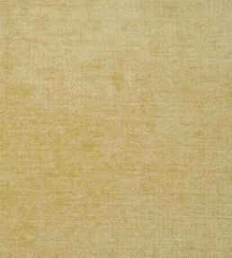 Zaragoza Fabric by Designers Guild Honey