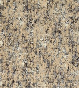 Dipinto Fabric by Clarke & Clarke Charcoal