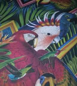 Divine Plumage Wallpaper by Divine Savages Fiesta