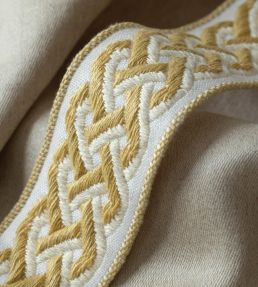 Dorset Braided Border Trimming by Samuel & Sons Honey