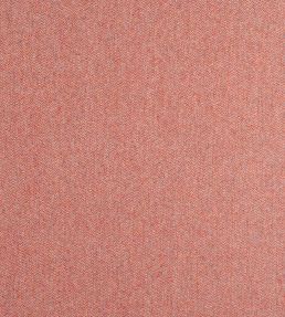 Dorset Fabric by Thibaut Adobe