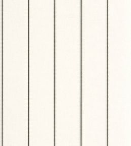 Dot Line Wallpaper by Caselio Taupe noir