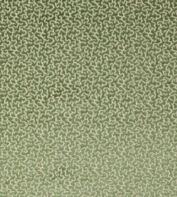 Drago Fabric by Manuel Canovas Menthe